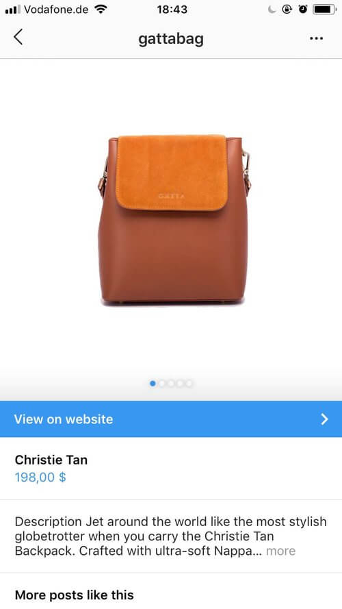 shoppable instagram elise darma gattabag bag.jpeg