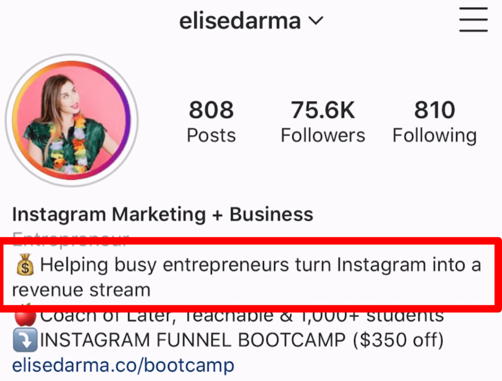 Elise Darma's Instagram Bio: "Helping busy entrepreneurs turn Instagram into a revenue stream."